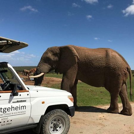 Hitgeheim Country Lodge Addo Exterior foto