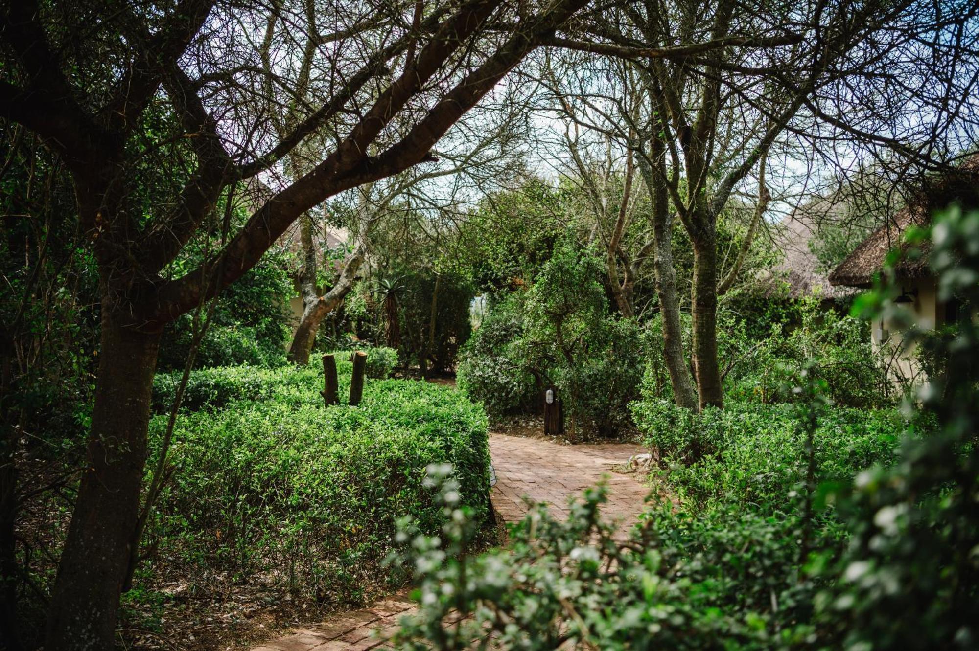 Hitgeheim Country Lodge Addo Exterior foto