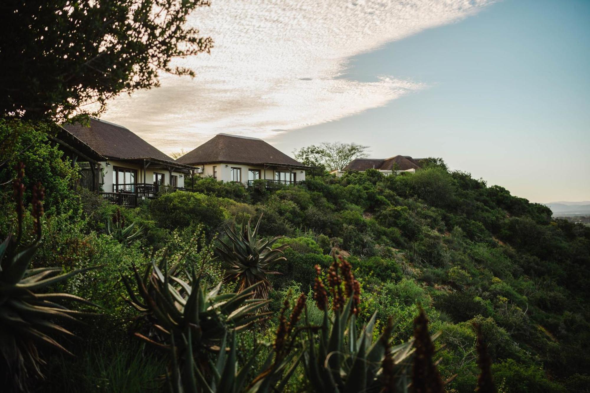 Hitgeheim Country Lodge Addo Exterior foto