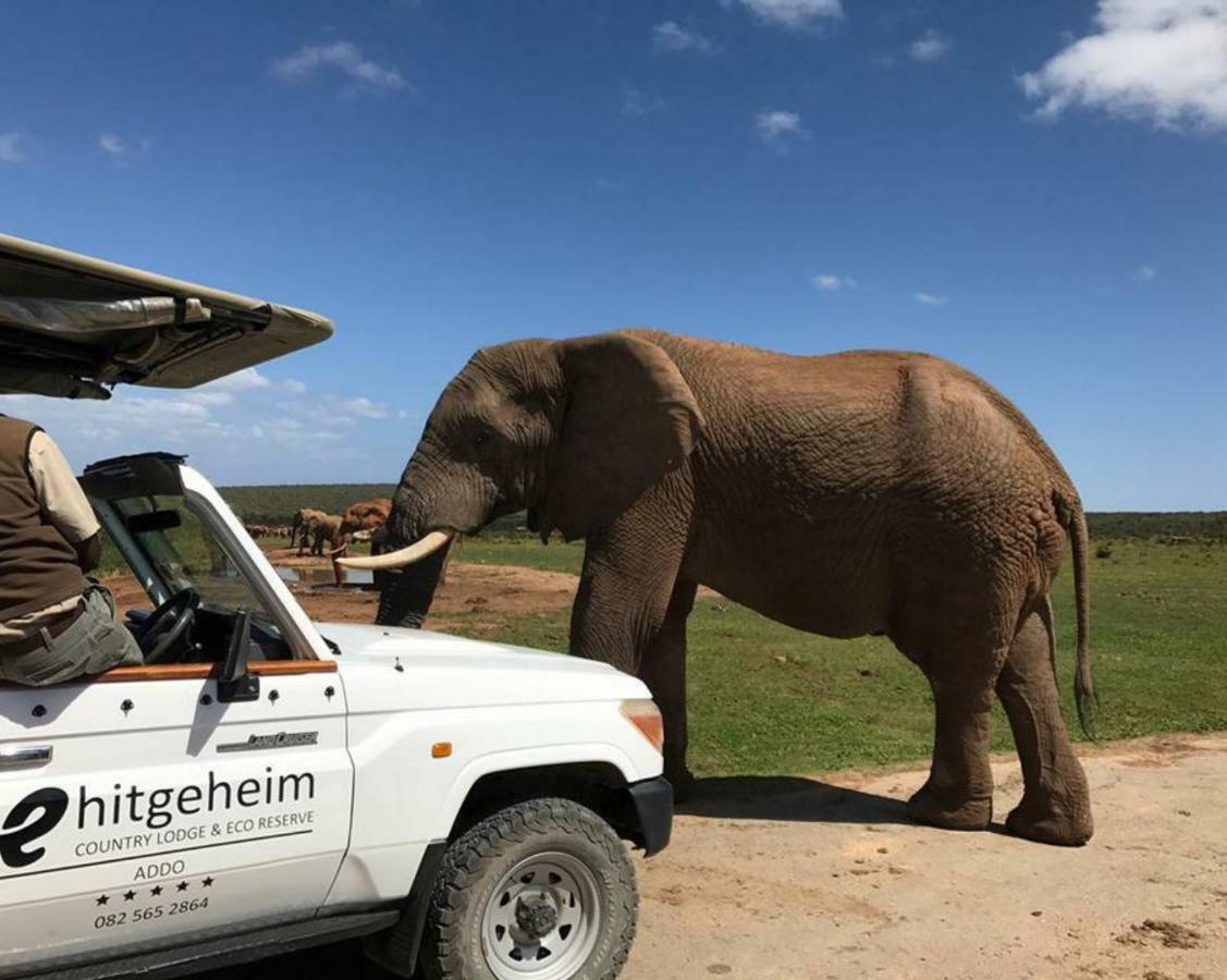 Hitgeheim Country Lodge Addo Exterior foto